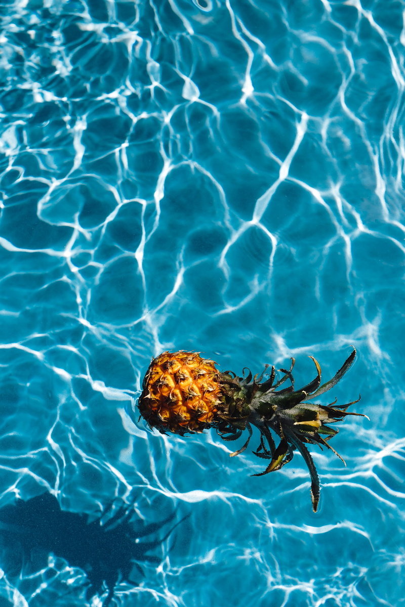 close-up, rippled, fresh, animal themes, tropical fruit, nature, beauty in nature, vacations, marine, waterfront, animal wildlife, tropical, outdoors, 5K