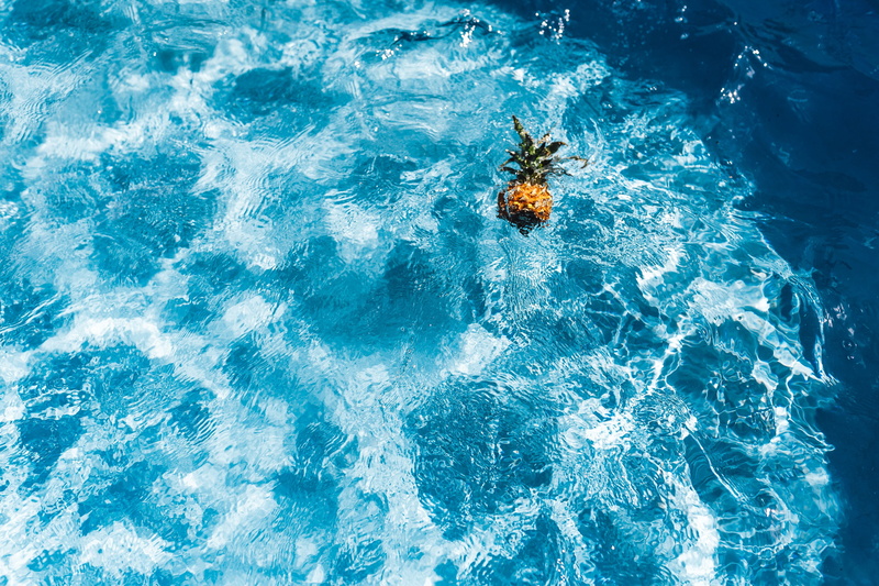 tropical, outdoors, water, animals in the wild, splashing, fruits, sunlight, outdoor, no people, top view, vacations, pineapple, day, blue, one animal