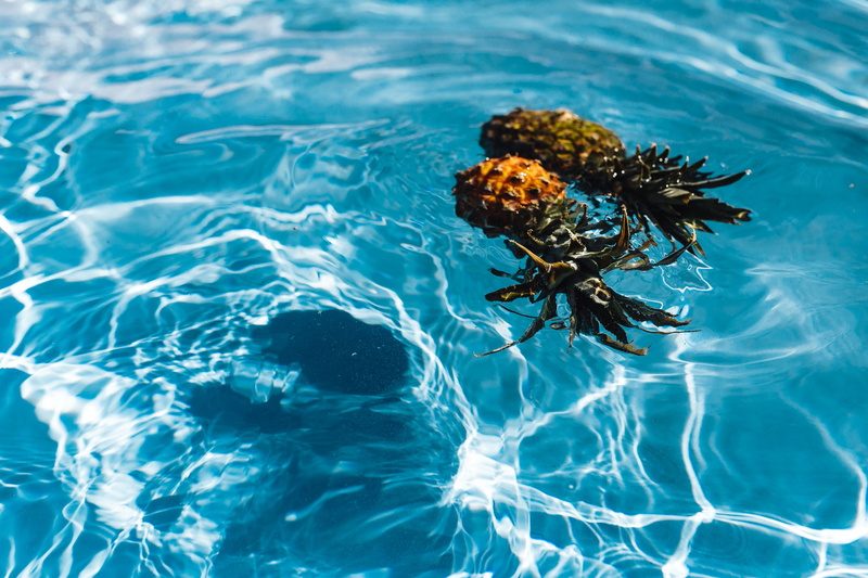 fresh, tropical fruit, summer, animal wildlife, animal themes, high angle view, top view, tropical, one animal, animals in the wild, swimming pool, no people