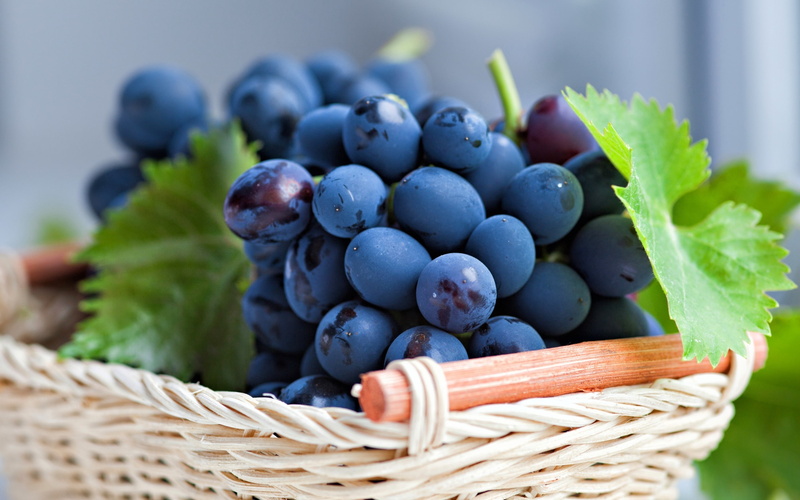 2K, basket, fruits, grapes