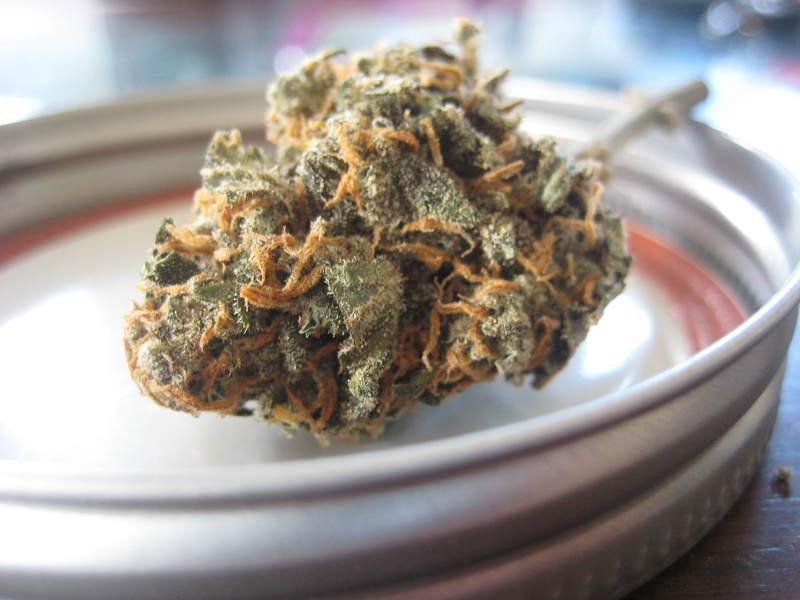 bloom, plate, narcotic, concentrate, buds, red, grow, joint, table, leaf, smoke, warm, extracts, flowers, colorful, cure, green, culture, ganja, medication