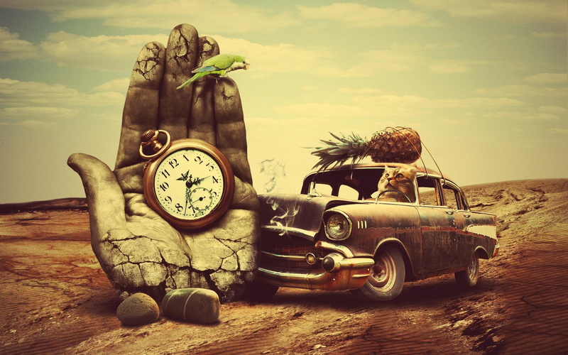 stones, cars, parrot, fruit, old, cat, 1080P, animals, clocks, desert, surreal, old cars, hand, bird, car, rock, pineapples