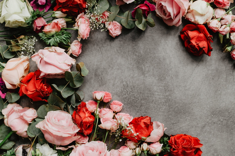 rose, 4K, plant, petal, copy space, vulnerability, background, flat, lay, rose - flower, flatlay, high angle view, flower arrangement, indoors, beauty in nature