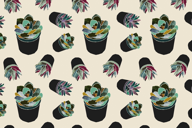 succulent, pattern, 2K, lights, plants