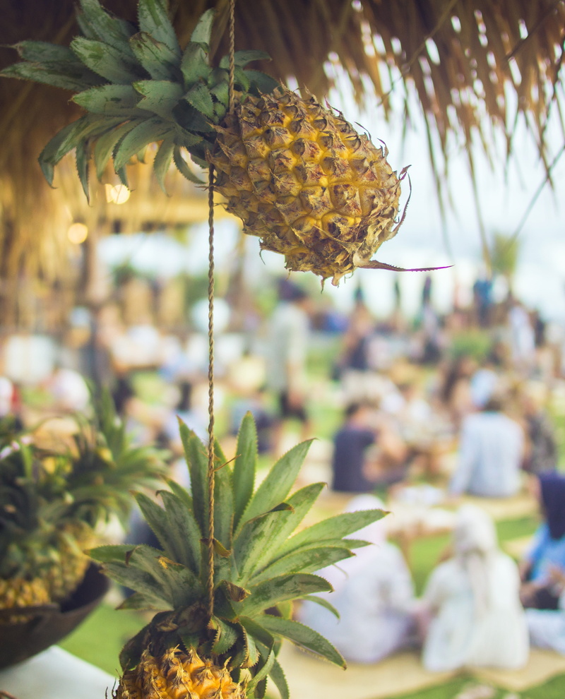 leaf, pineapples, tropical, focus on foreground, tree, closeup, green color, plant, day, 4K, plant part, beauty in nature, freshness, nature, beach, food and drink