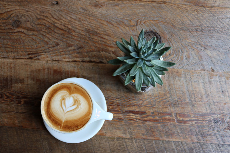 potted, 4K, cup, table, espresso, wood, freshness, froth art, indoors, green, hot drink, no people, coffee - drink, food and drink, succulent, frothy drink