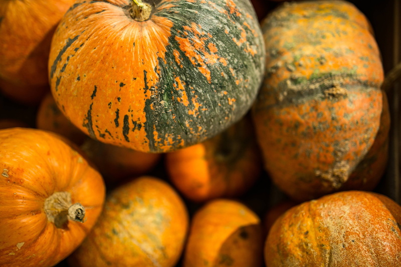food and drink, thanksgiving, freshness, ups, 4K, autumn, ripe, orange, squash - vegetable, orange Color, organic, farm, Close-ups, box, large group of objects