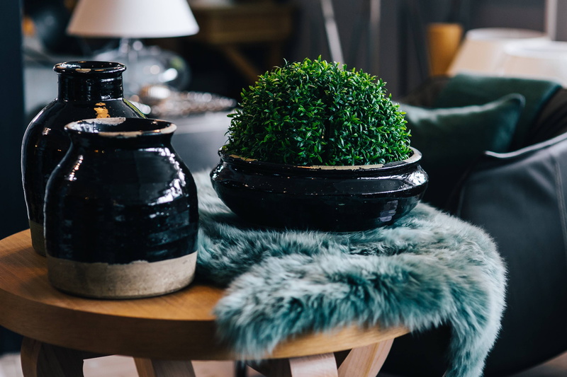 day, rug, table, green color, refreshment, potted plant, 4K, pot, indoors, freshness, black color, chair, black, container, Green plant, bottle, cyan