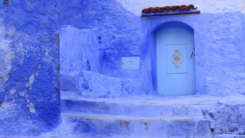 animals, doorway, 1080P, blue, house, blue doorway, chefchaouen, concrete, weird, morocco