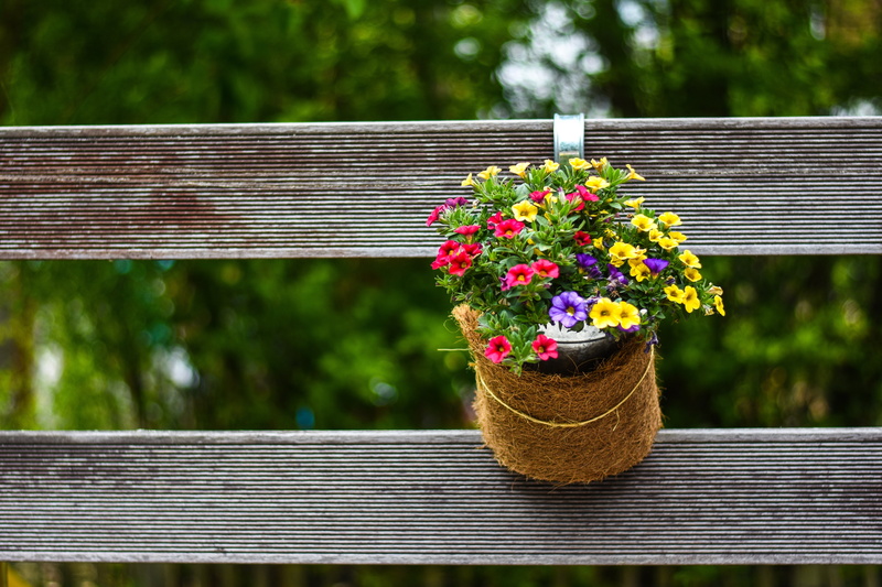 gartendeko, plant, photograph, architecture, freshness, potted plant, selective, flowers, gardening, spring, design, red, close-up, no people, 5K, table