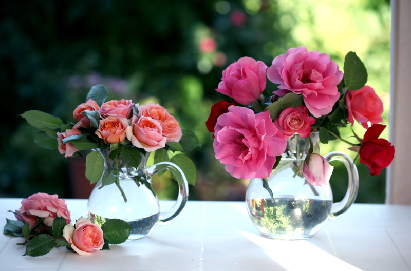 flower, green Color, plant, decoration, indoors, flowers, rose, arrangement, flower arrangement, fragility, wedding, yellow, close-up, pink, table, multi Colored
