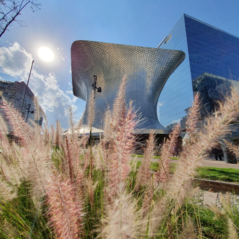 office building, landscape, méxico, plant, sunlight, environment, 2K, low angle view, sun, planter, cdmx, sunny, potted plant, grass, agriculture, rural scene
