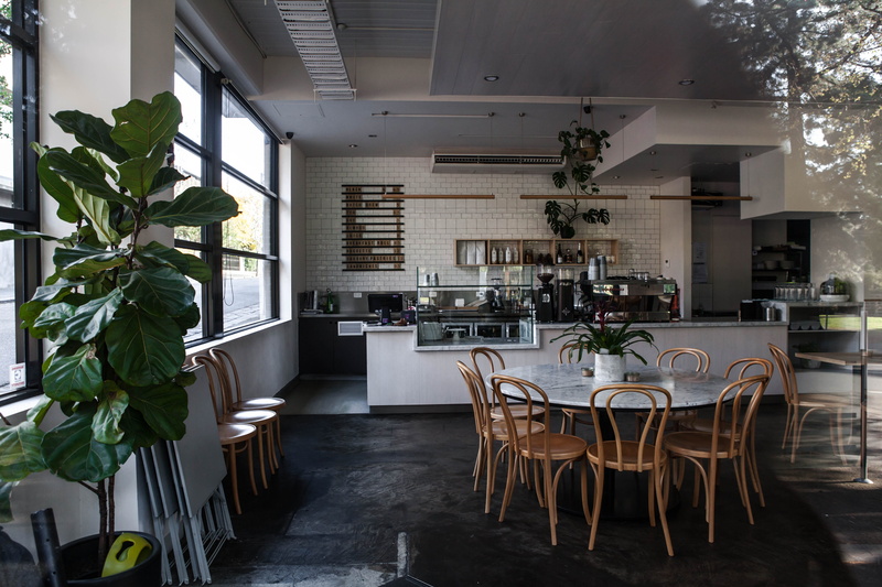 waiting room, furniture, seat, nature, cafe, 5K, white, houseplant, potted plant, chair, indoors, pottery, wooden, table, business, window, dining table