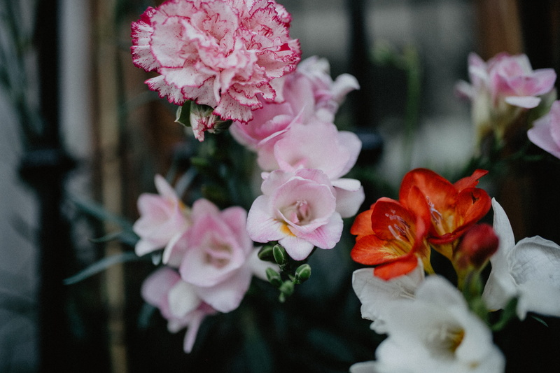 bouquet, pottery, beauty in nature, flower, flower head, springtime, no people, vulnerability, selective focus, spain, photo, orange, jar, focus on foreground