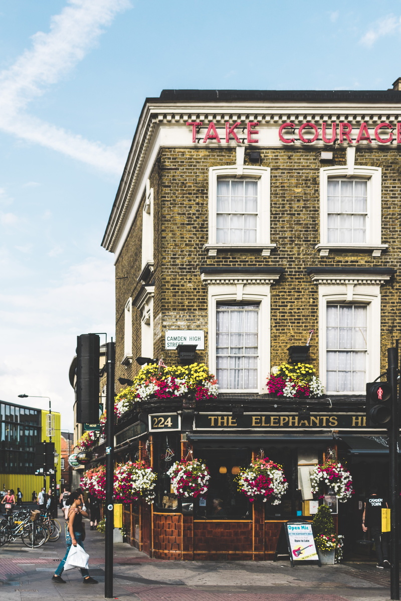 traffic, flora, corner, vase, building, residential district, light, courage, people, day, plant, beside, woman, flowering plant, camden town, building exterior