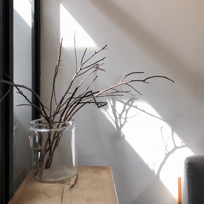 ikebana, potted plant, wood - material, indoors, no people, flower, plate, jar, brown, food, 2K, nature, table, glass, white color, dish, flower arrangement