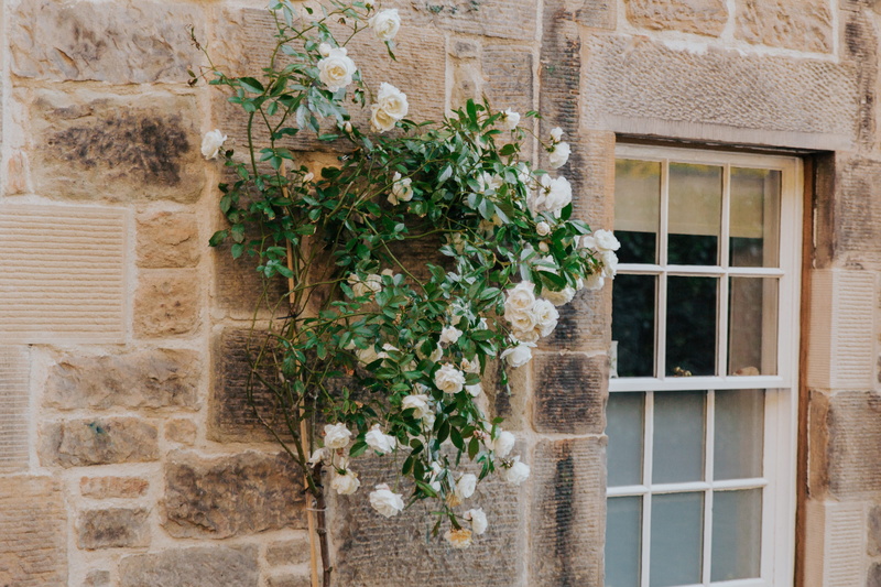 growth, tan, no people, built structure, green color, pottery, blossom, wall - building feature, 4K, geranium, vase, day, white, building exterior, outdoors