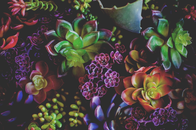 green Color, close-up, assorted, beauty In Nature, illustration, backgrounds, vulnerability, leaves, no people, choice, blossom, biology, houseplants, lot