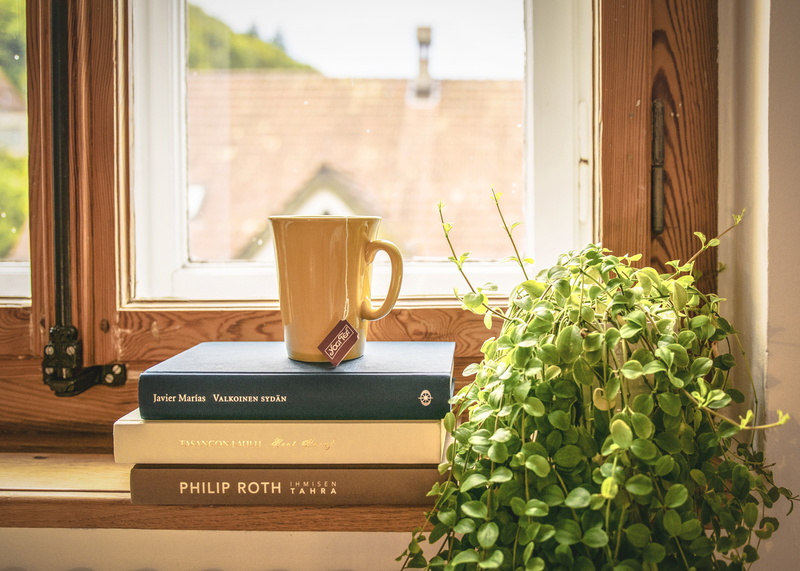 cup, nature, table, indoors, yellow, 4K, growth, education, flower, sunlight, day, lifestyles, leaf, plant, book, house, entrance, backgrounds, window