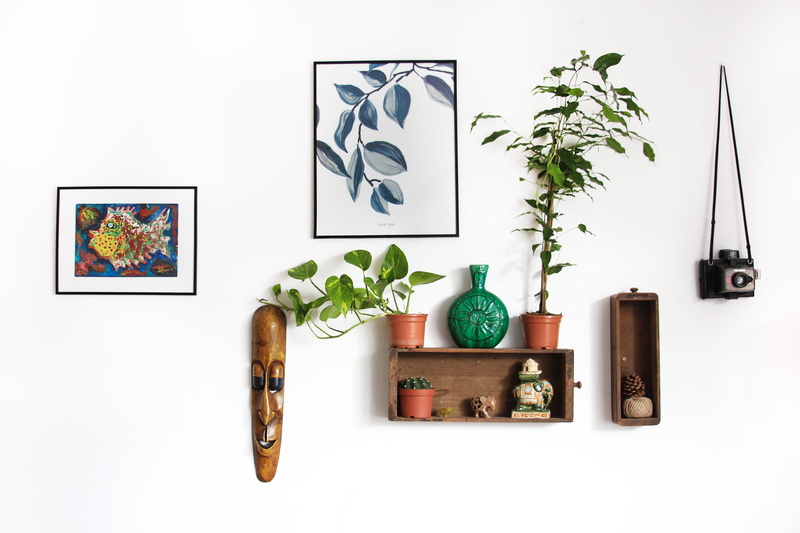 white, bohemian, flower Pot, retro Styled, assorted, decors, houseplant, shelf, table, clean, decor, old-fashioned, boho, picture, no People, #woodenmask