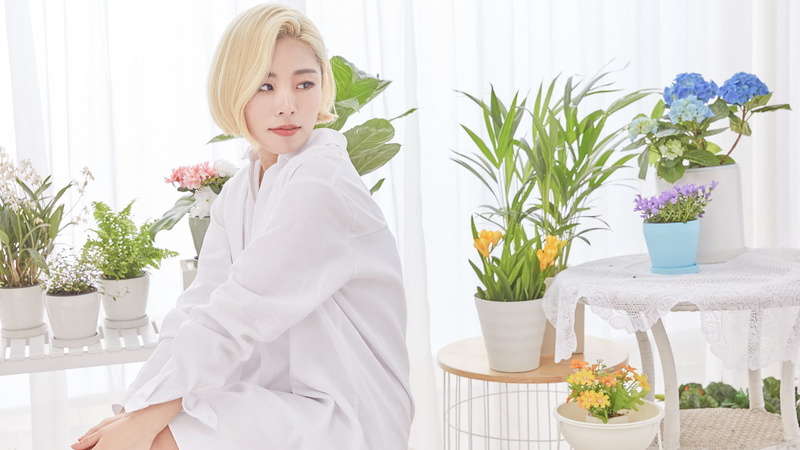 young adult, potted plant, flowering plant, vase, adult, plant, 1080P, houseplant, indoors, Mamamoo, flower arrangement, portrait, leisure activity, K-pop