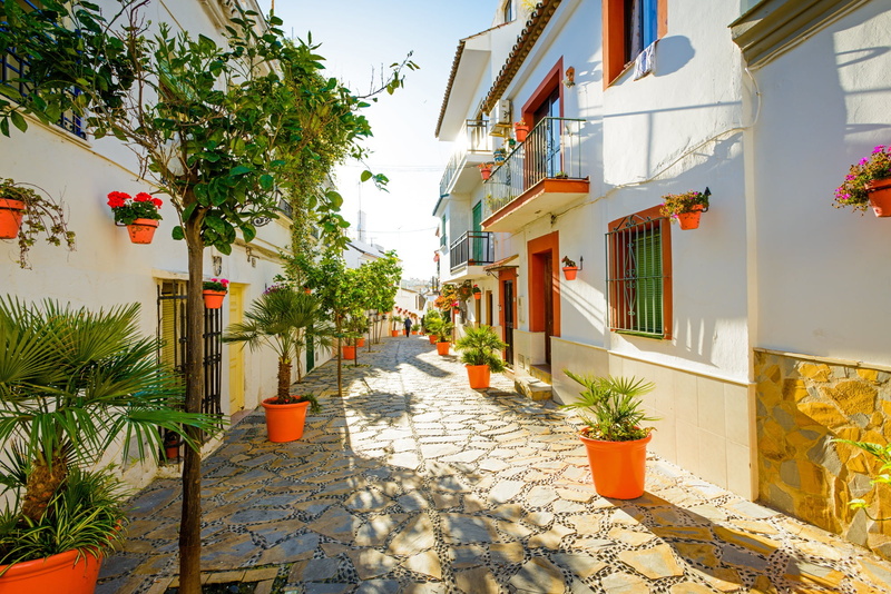 trees, nature, built structure, direction, building exterior, architecture, growth, Iberian Peninsula, tree, Spain, sky, sunlight, alley, residential district