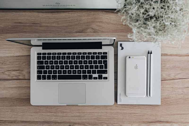 wooden, business, notebook, Apple iPhone, plant, green, knolling - concept, desk, computer key, laptop, high angle view, Silver, communication, green plant