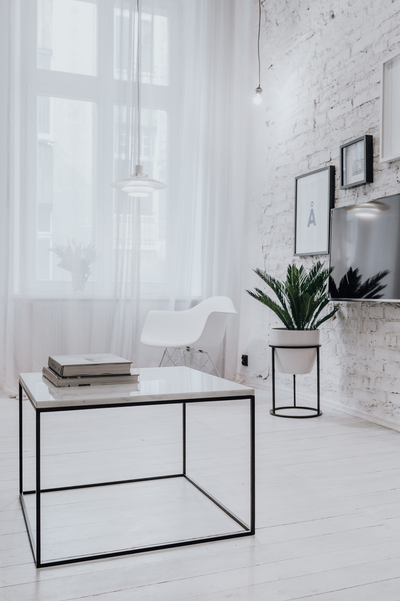 houseplant, wooden floor, modern, window, wall - building feature, interior, marble table, nature, wood - material, absence, design, potted plant, indoors