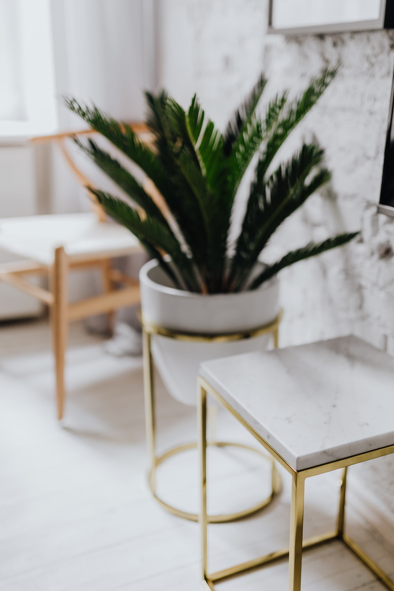 living room, potted plant, living, white floor, wooden floor, white, white color, Uncommon, scandinavian, home showcase interior, chair, flooring, plant