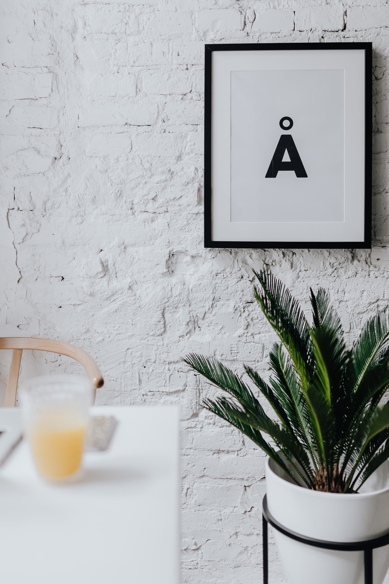 potted plant, contemporary, indoors, white, domestic room, common, day, white color, communication, modern, wall - building feature, coffee table, household equipment