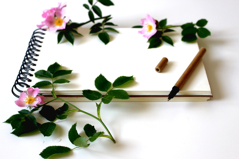 love letter, nature, inflorescence, white, stationery, schreiber, vulnerability, close-up, beauty in nature, petal, desk, close, leaf, flower, empty, diary