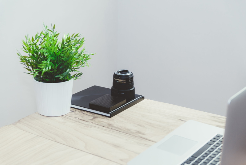 computer, macbook, wood, ledger, creative, built structure, technology, food and drink, furniture, modern, nature, day, centerpiece, decor, plant, objects