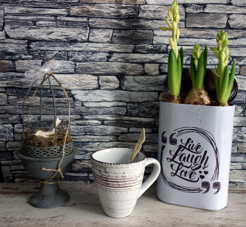 bloom, watering can, text, ceramic, plants, container, green color, rustic, antique, cage, growth, flower, wood - Material, cup, nostalgia, decoration