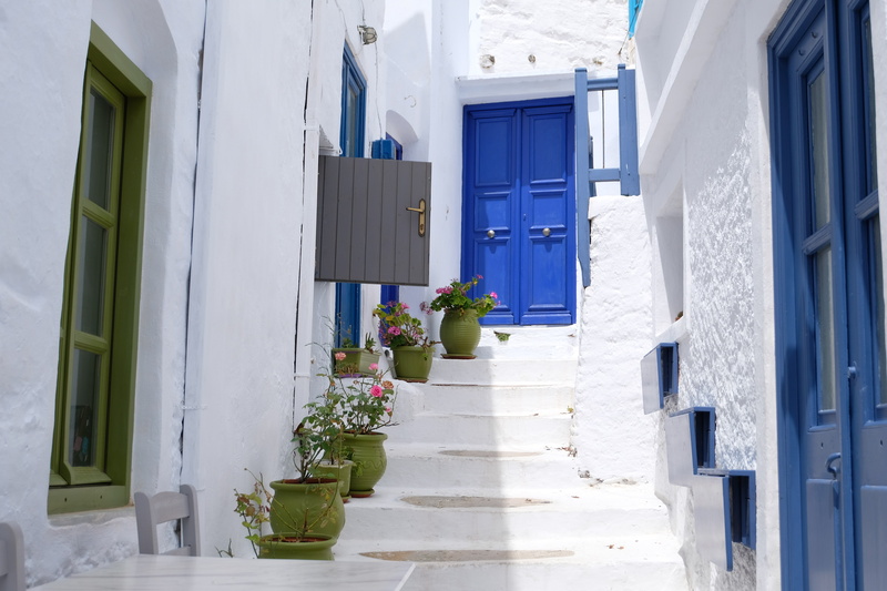 water, 5K, potted plant, house, houseplant, growth, residential district, entrance, outdoors, flower pot, no people, door, staircase, built structure