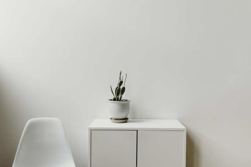 flower pot, cabinet, no people, white color, vase, nature, houseplant, copy space, home interior, white, simplicity, eames, leaf, chair, green, domestic room