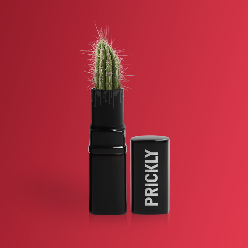 lipstick, decoration, prickly, potted plant, green, cactus, wall - building feature, lipstick tube, succulent, bright, cactus flower, fun, colored background