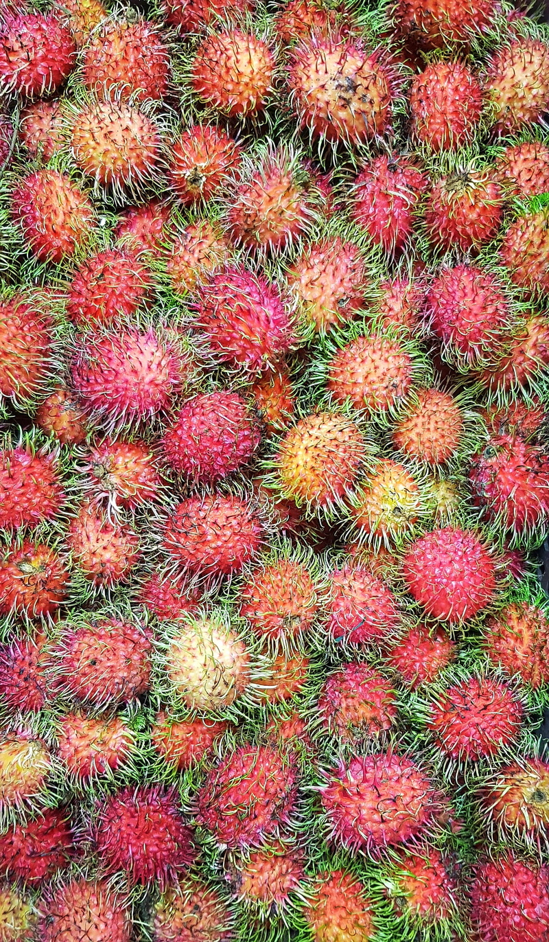 food, prickly, high angle view, ripe, marketplace, red, flora, nature, color, directly above, full frame, day, lychee, tropical fruit, no people, abundance