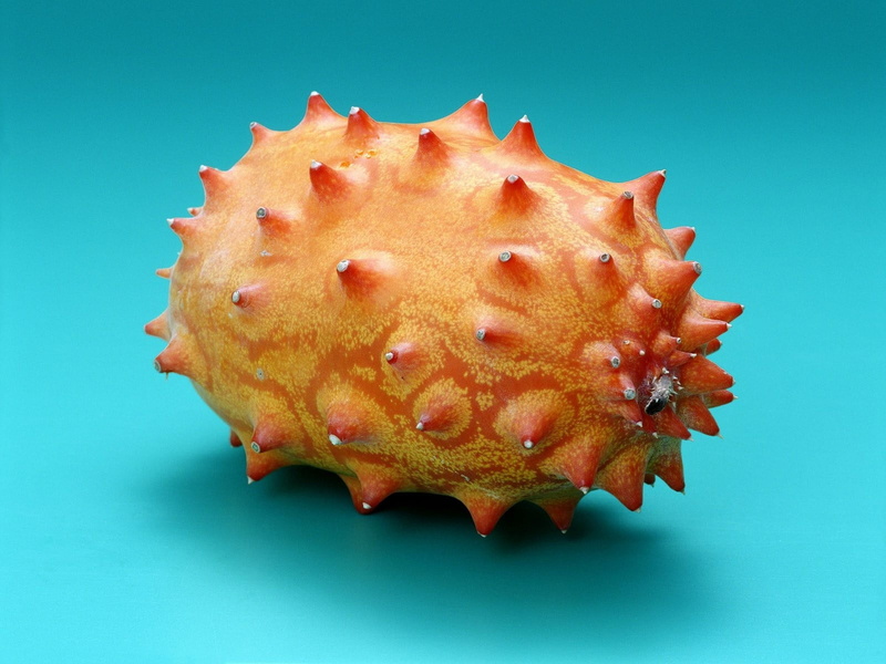 ripe, slice, tropical Climate, close-up, organic, wellbeing, studio shot, fruit, temptation, freshness, yellow, tropical fruit, spiked, healthy eating