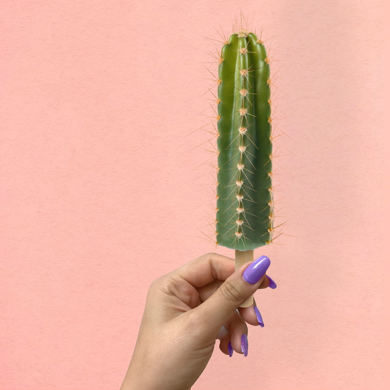 thorns, hand, nails, plant, spines, unrecognizable person, indoors, finger, close-up, human body part, human finger, 4K, real people, holding, succulent