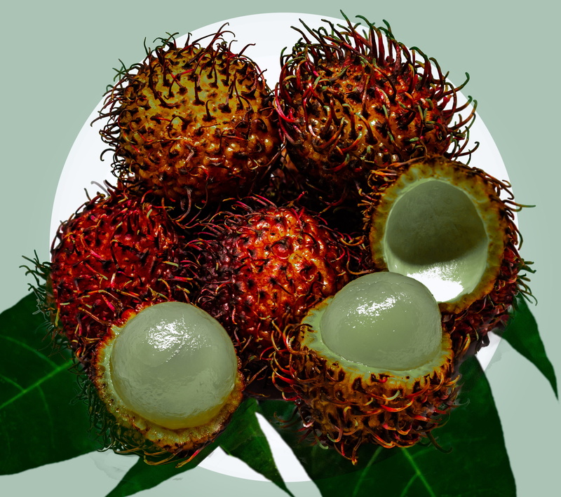 hairy, still life, high angle view, asia, leaf, sweet, green color, lychee, 4K, soapberry family, studio shot, edible, no people, tropical, food, spiny