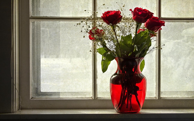 flower, 1080P, vase, window, glass, roses, red, four, flowers