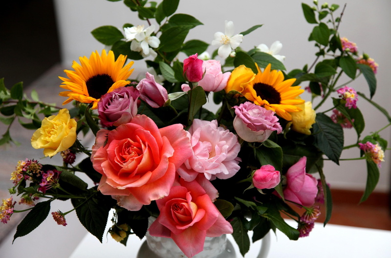 beauty In Nature, love, freshness, pink Color, sunflowers, composition, jasmine, artificial, yellow, red, backgrounds, indoors, plant, cut Flowers, flower arrangement