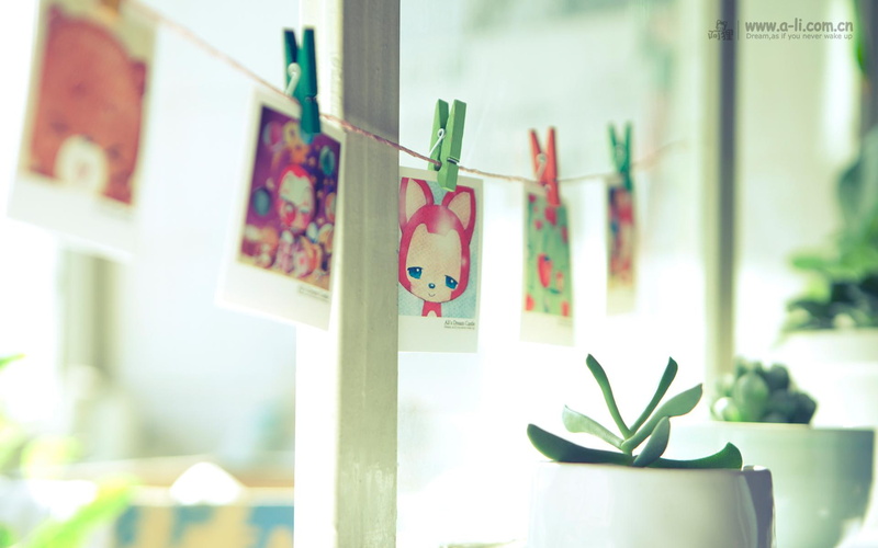 clip, succulent, card, white, ceramic, windowsill, 1080P, potted, plant, mood