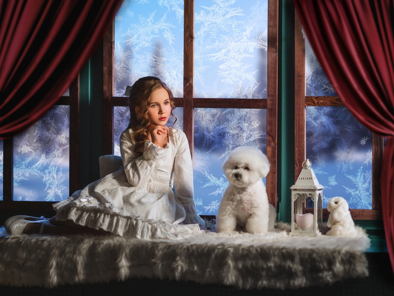 dress, doggie, Bunny, girl, on the windowsill, rabbit, dog, 2K, curls, toy, window, frost, lantern, poodle, Диана Липкина