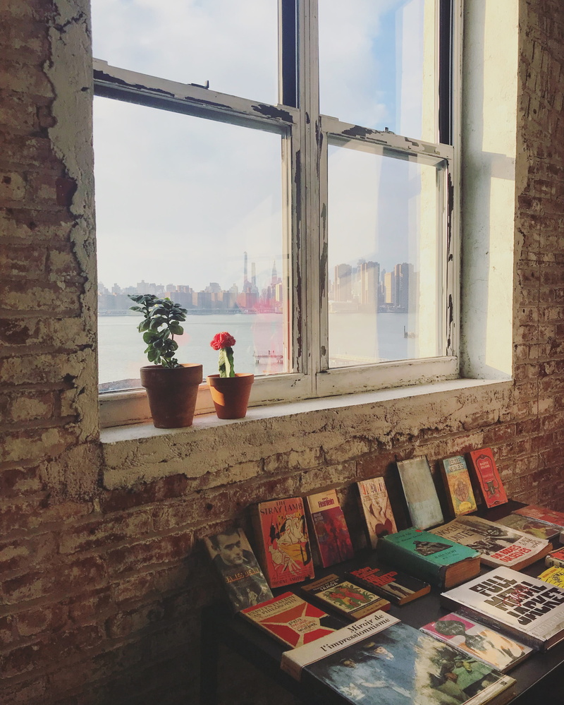 window sill, windowsill, brooklyn, book, window, built structure, plant, 2K, picture frame, glass - material, indoors, manhattan, architecture, books