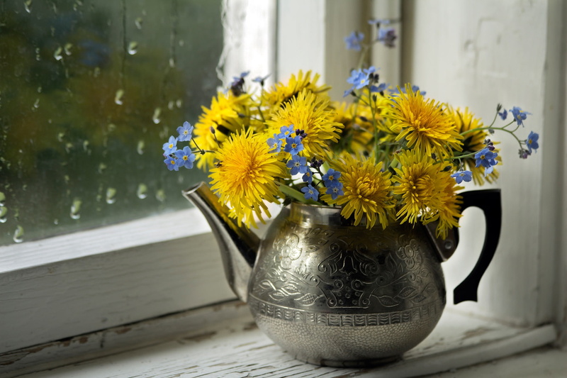 kettle, forget-me-nots, on the windowsill, window, 1080P, dandelions, a bunch