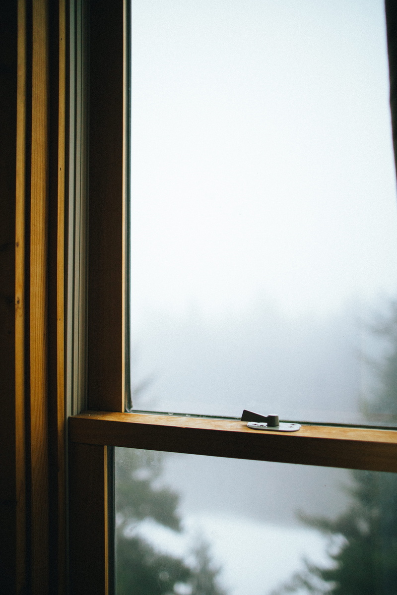 window, building, glass - material, cabinet, home, shutter, windowsill, rail transportation, wooden, latch, nature, door, wood, wood - material, no people