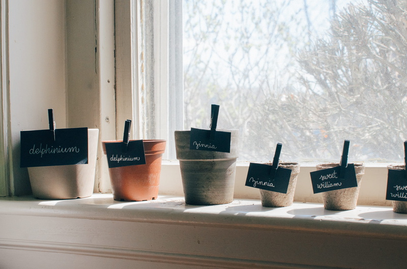 sun, 2K, table, sign, sill, information, ledge, seeds, nature, potted plant, still life, clips, pots, plants, paint, indoors, window sill, cup, no people