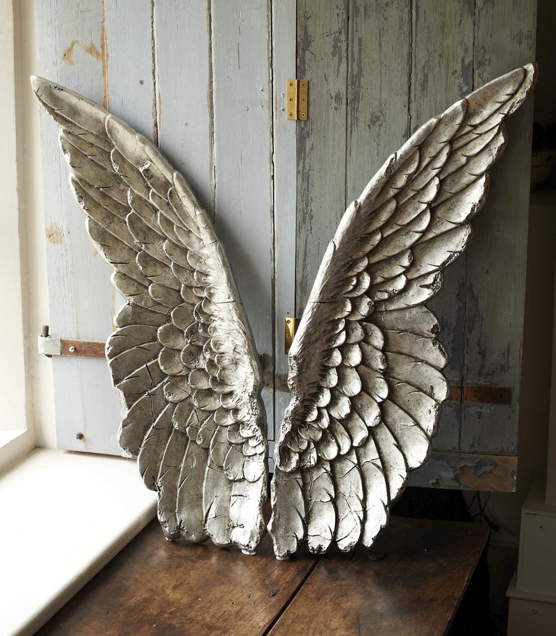 flooring, animal, angel, day, flying, white color, art and craft, animal wildlife, wings, bird, wall - building feature, no people, animal body part, wood - material