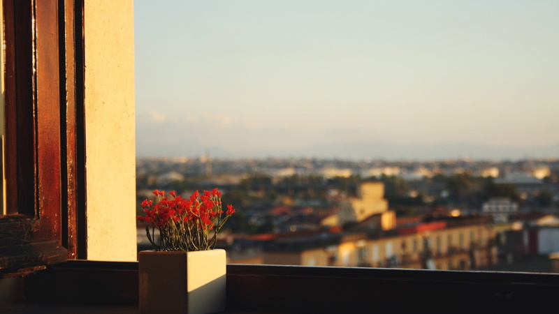 outdoors, sunset, sky, railing, building, flowering plant, cityscape, flower, no people, flowerpot, beauty in nature, 1080P, city, growth, architecture